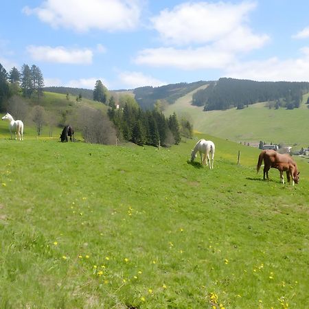 Ferienwohnung Bergahorn Todtnauberg Esterno foto