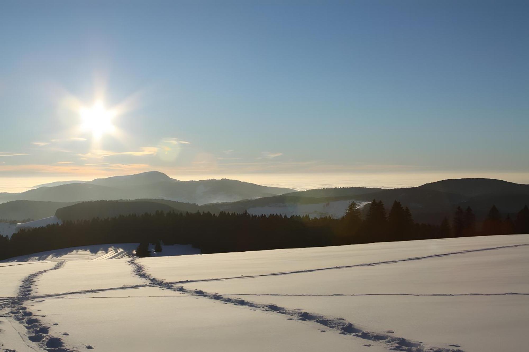 Ferienwohnung Bergahorn Todtnauberg Esterno foto